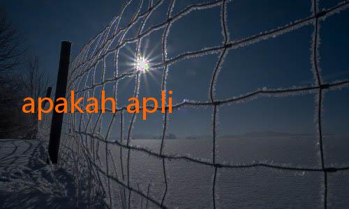 apakah aplikasi jalalive aman-Shin Tae-yong Bongkar Rahasia Latihan Ketat ala Korea Selatan