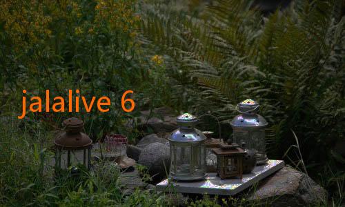 jalalive 6 com-Pelatih Vietnam: “Indonesia Sekarang Lebih Agresif dan Cepat!” – Menelusuri Perubahan Strategi dan Semangat Baru Tim Merah Putih